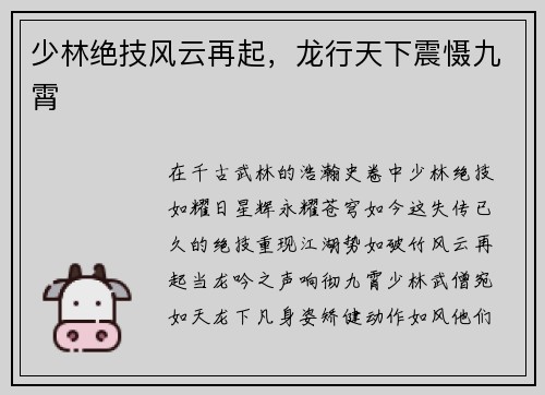 少林绝技风云再起，龙行天下震慑九霄